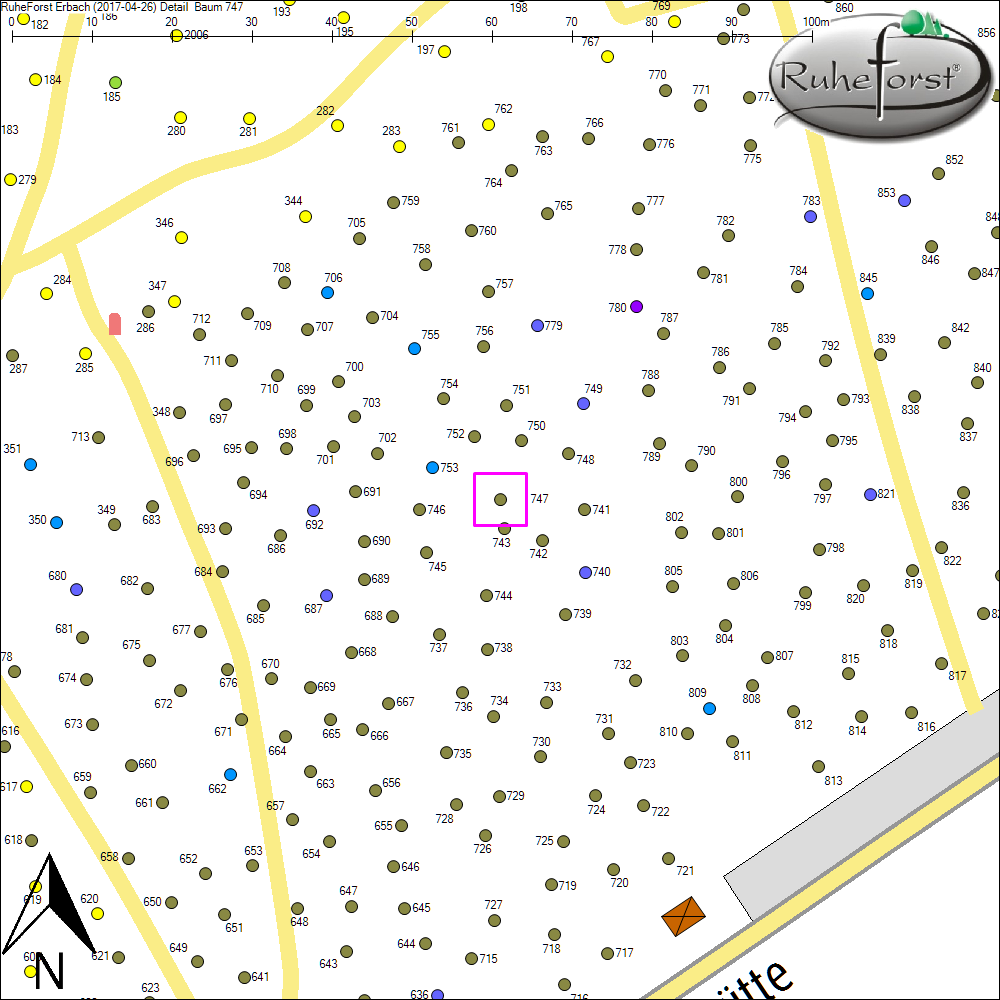 Detailkarte zu Baum 747