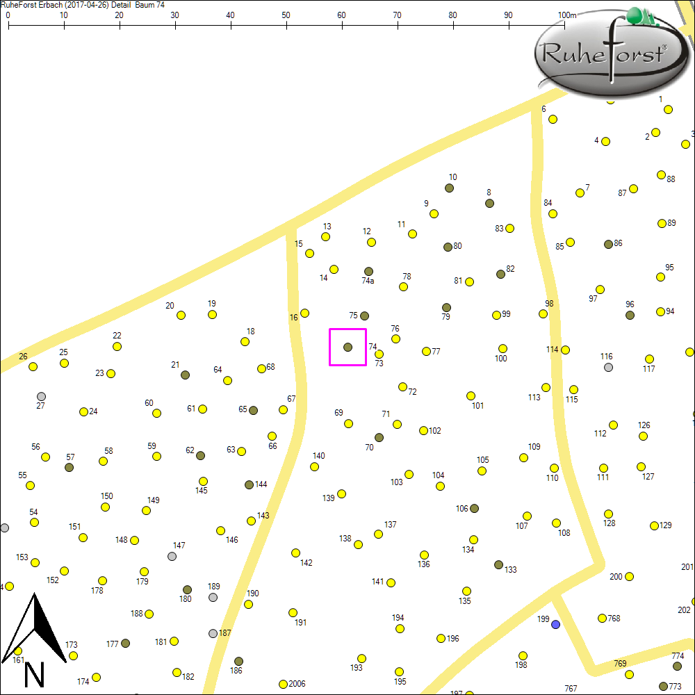 Detailkarte zu Baum 74