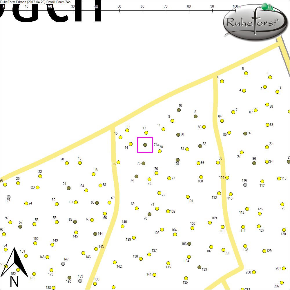 Detailkarte zu Baum 74a