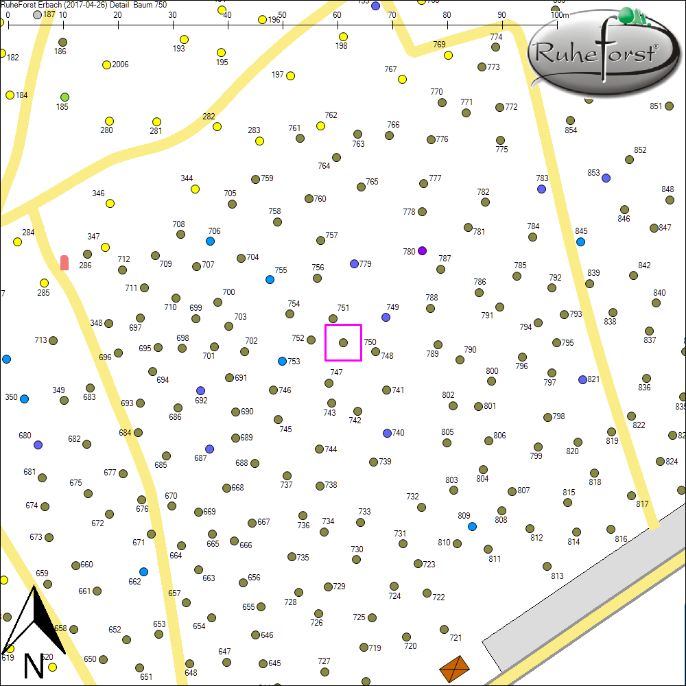 Detailkarte zu Baum 750