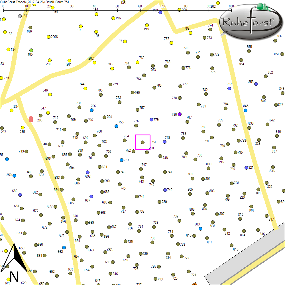 Detailkarte zu Baum 751