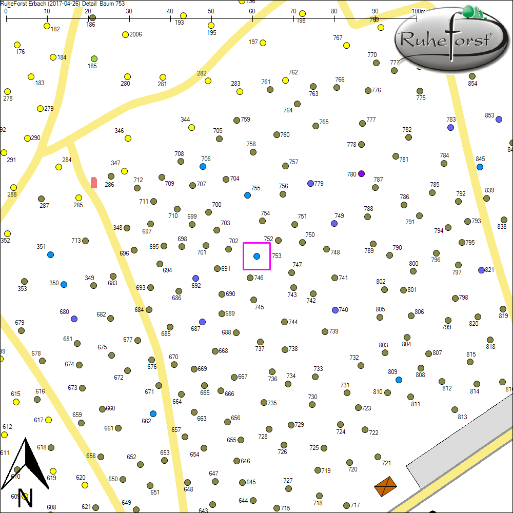 Detailkarte zu Baum 753