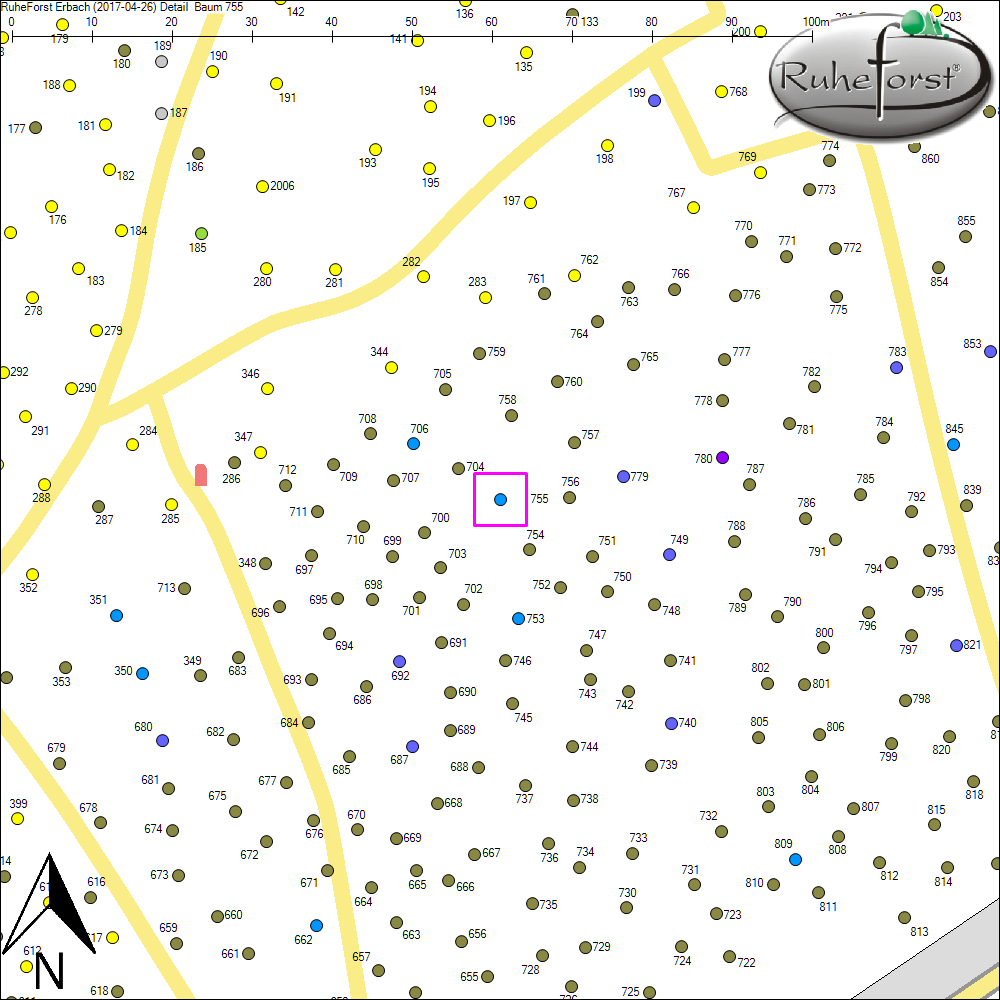 Detailkarte zu Baum 755