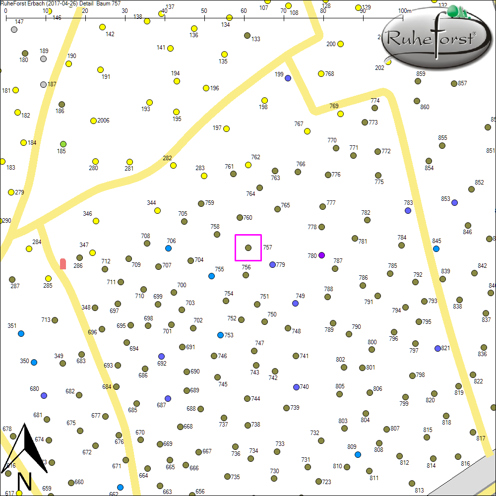 Detailkarte zu Baum 757