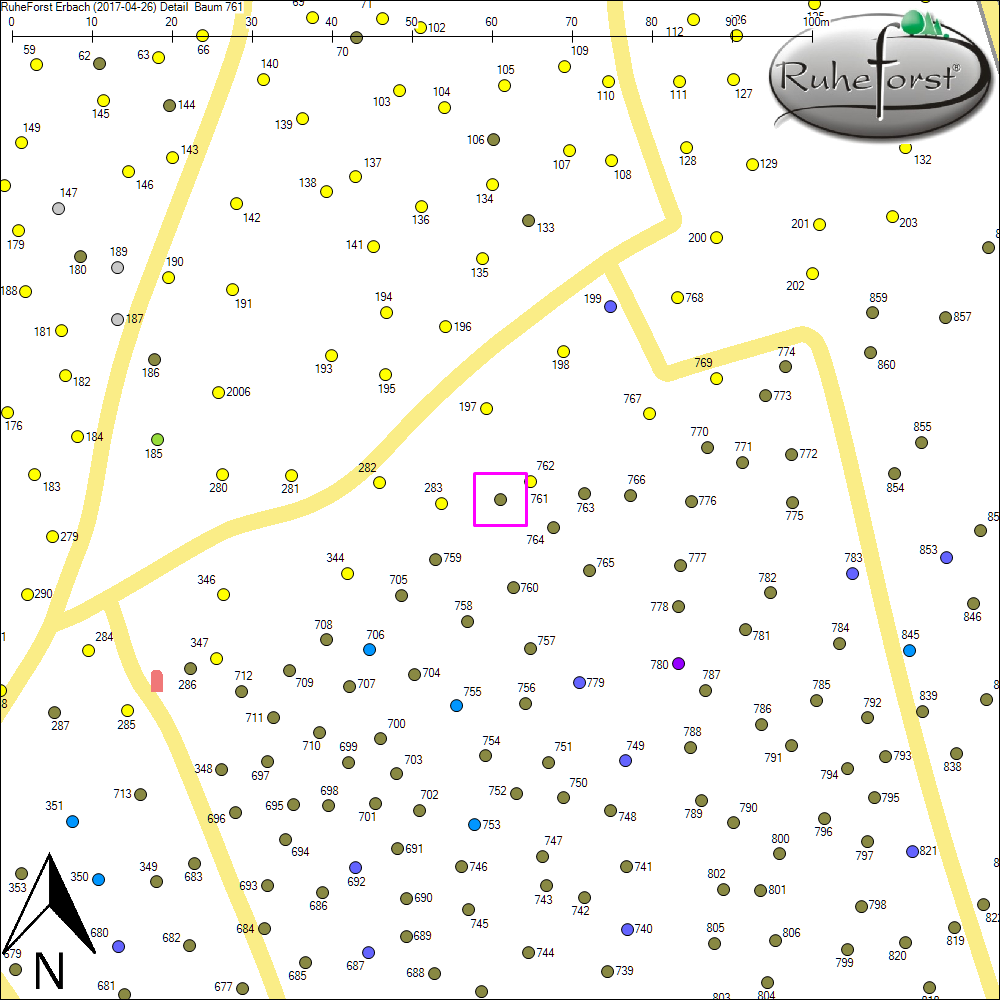 Detailkarte zu Baum 761