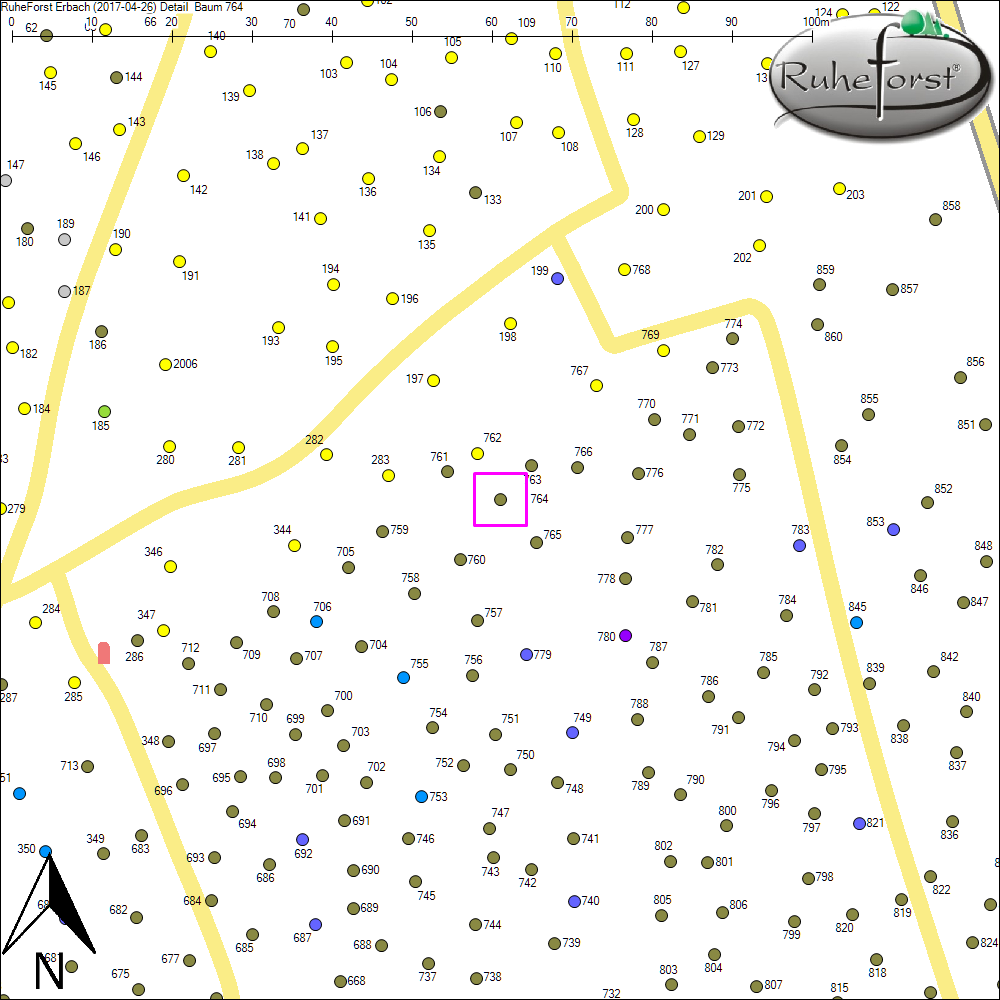 Detailkarte zu Baum 764
