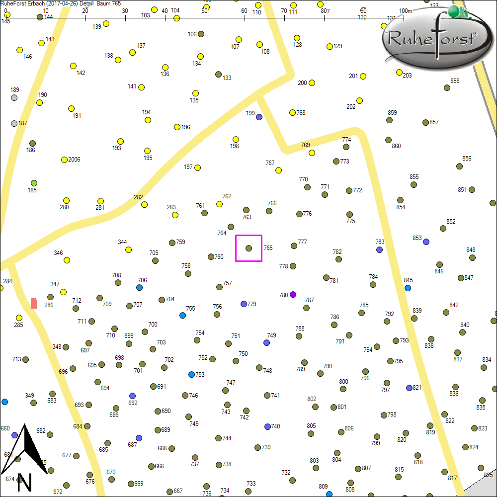 Detailkarte zu Baum 765