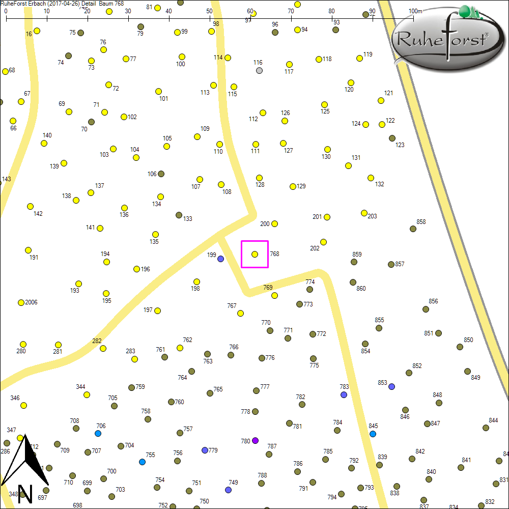 Detailkarte zu Baum 768