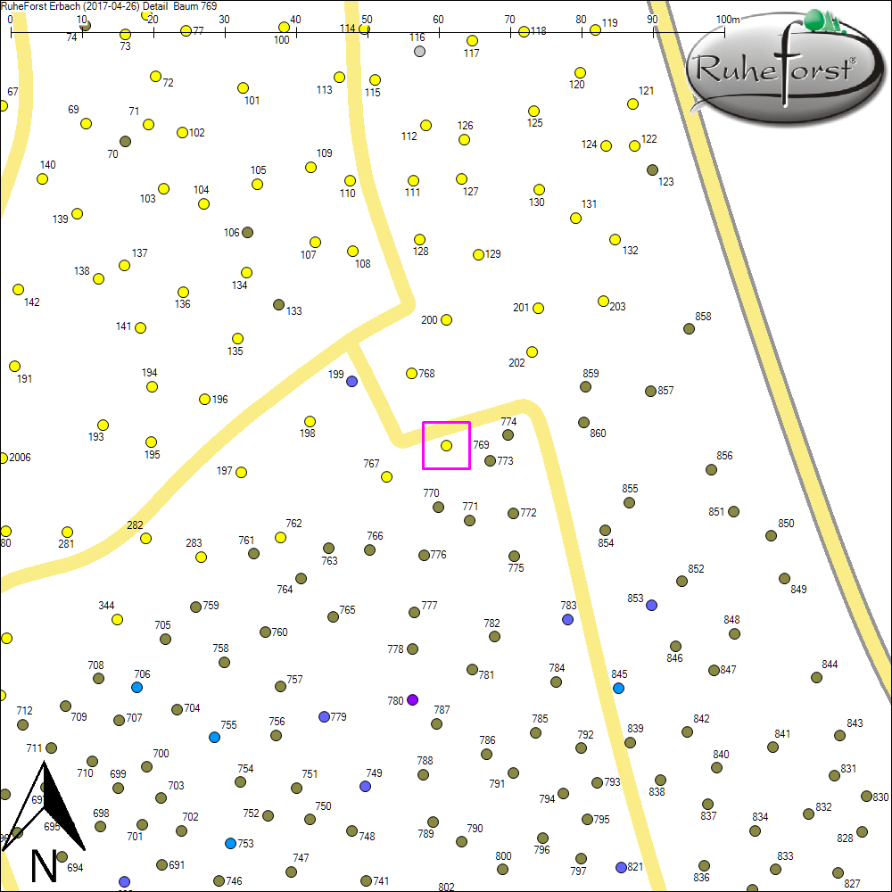 Detailkarte zu Baum 769