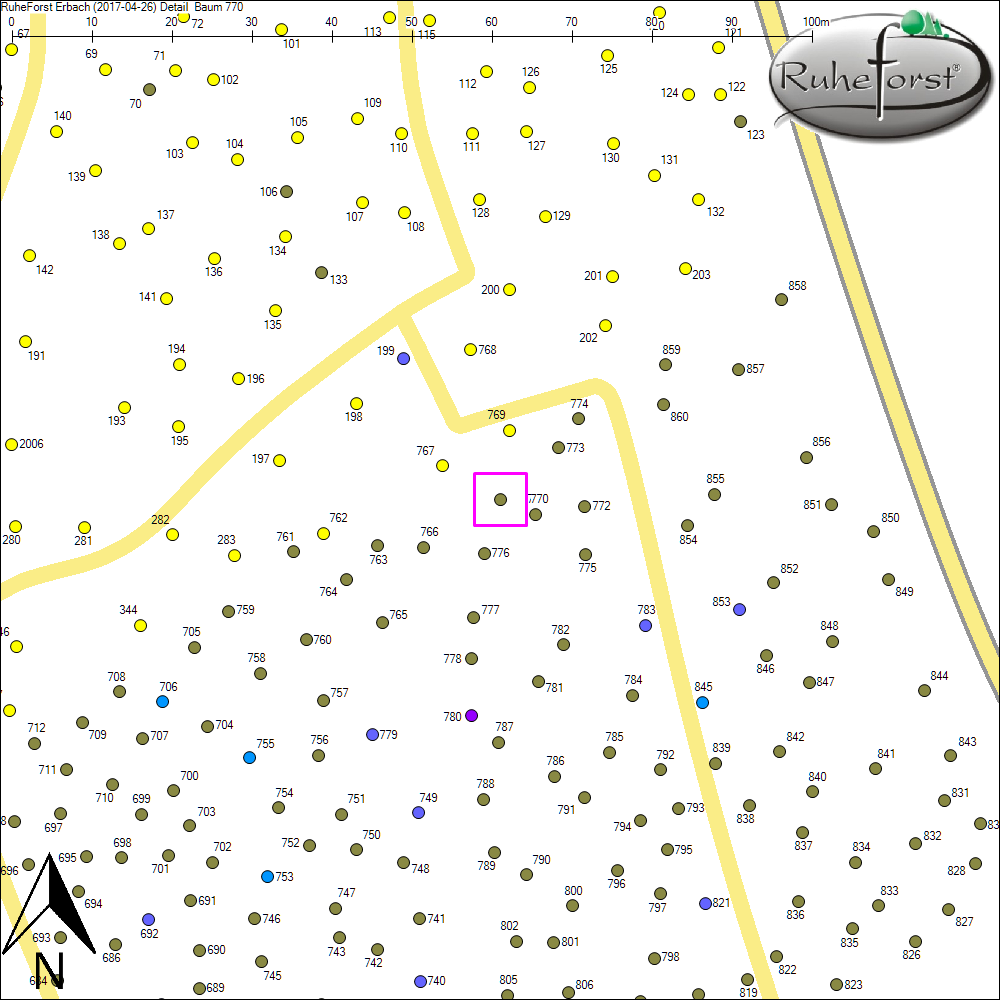 Detailkarte zu Baum 770