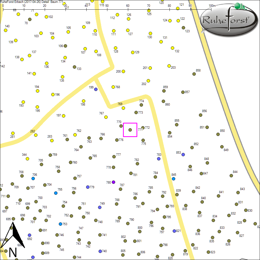 Detailkarte zu Baum 771