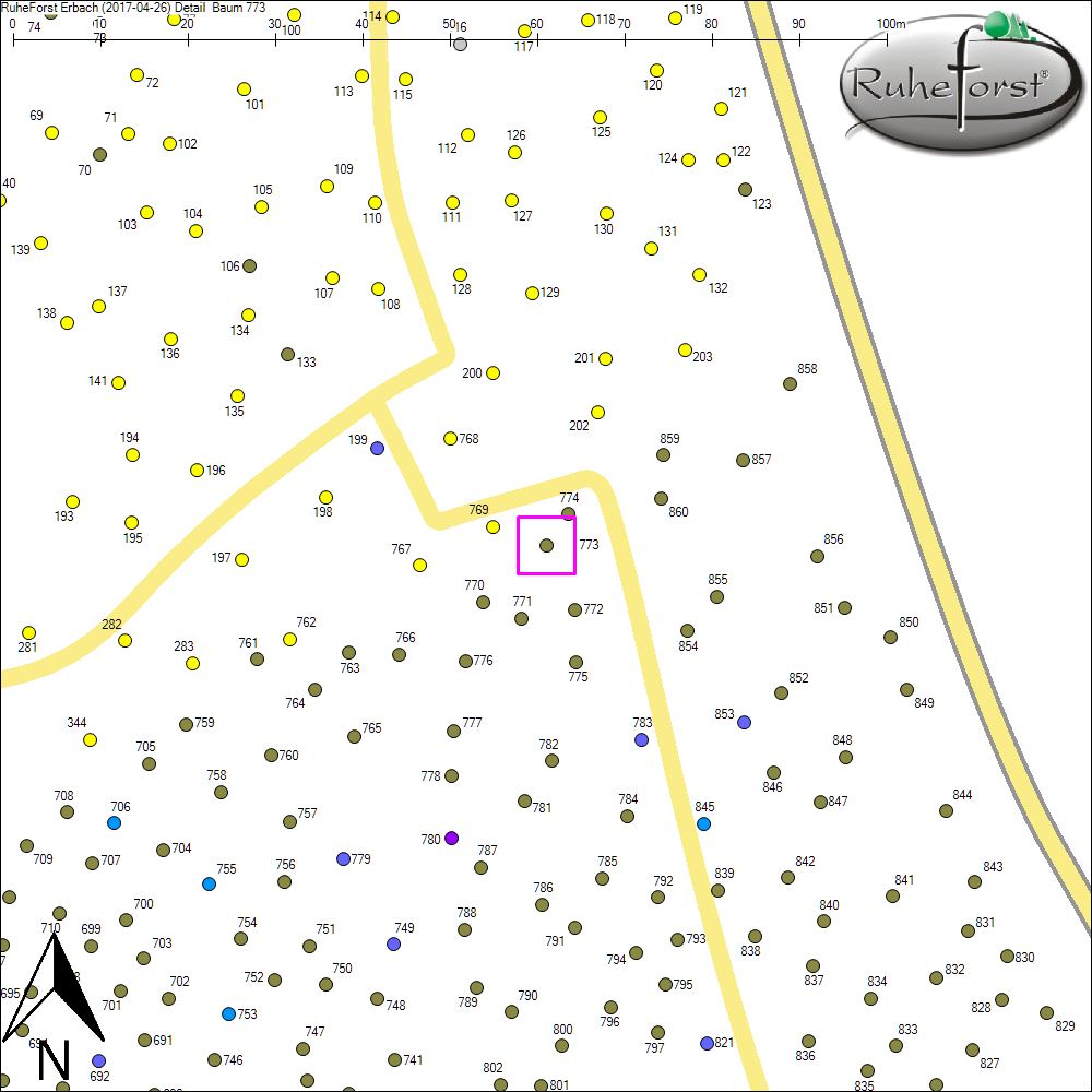 Detailkarte zu Baum 773
