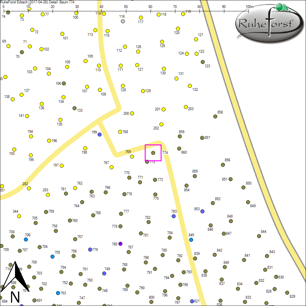 Detailkarte zu Baum 774