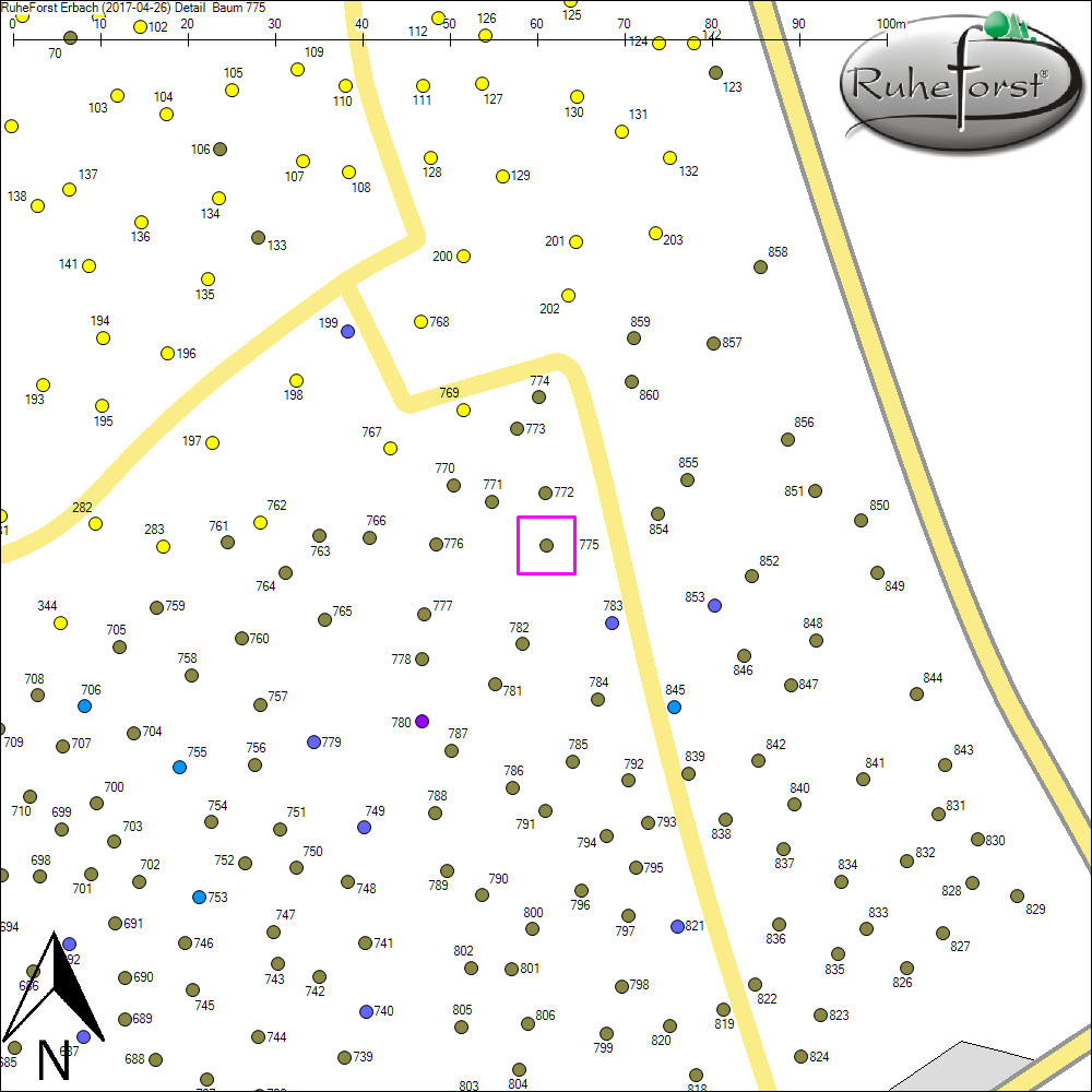 Detailkarte zu Baum 775
