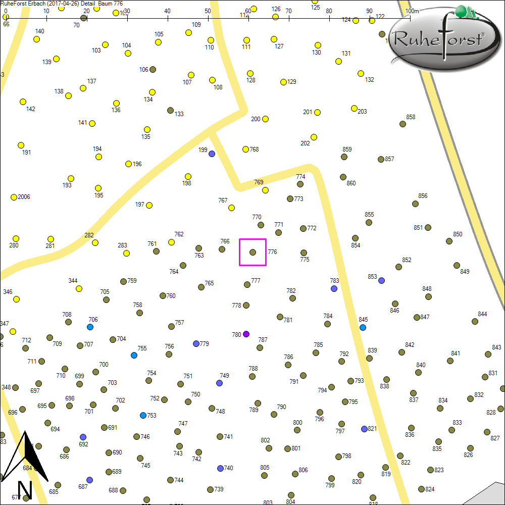 Detailkarte zu Baum 776