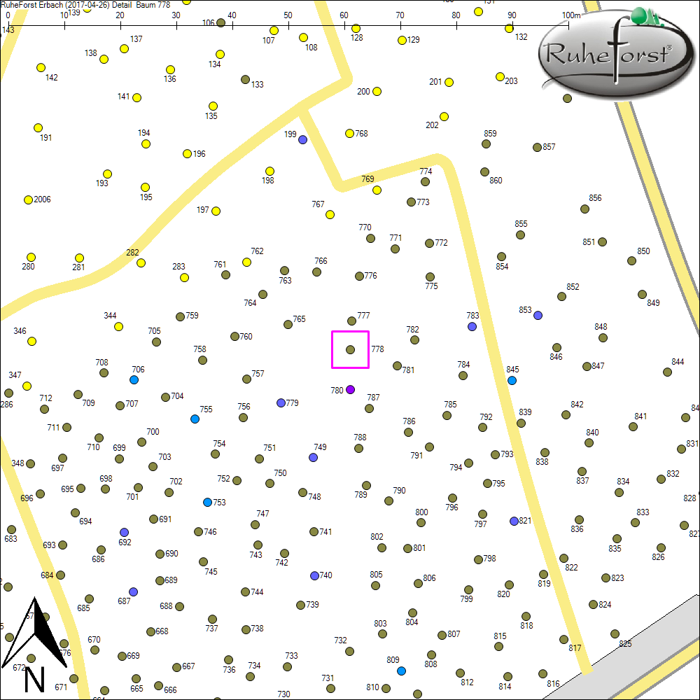 Detailkarte zu Baum 778