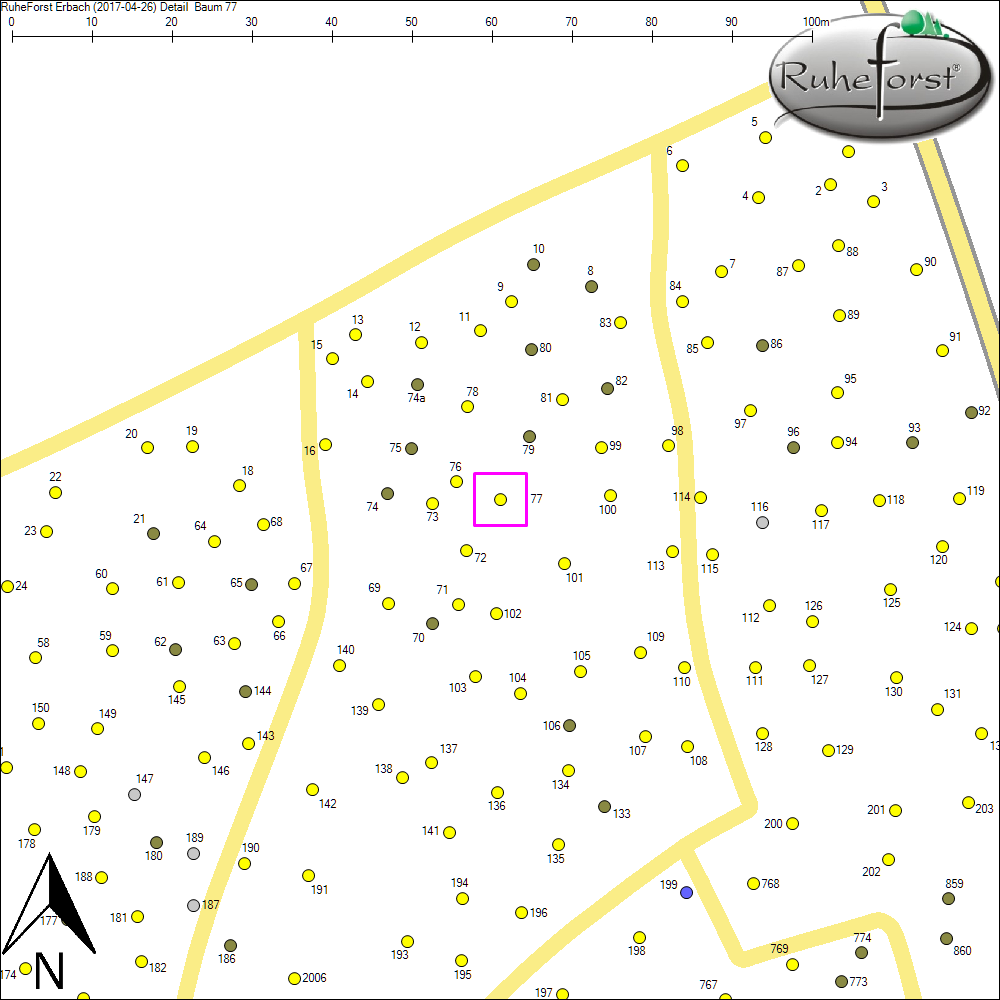 Detailkarte zu Baum 77