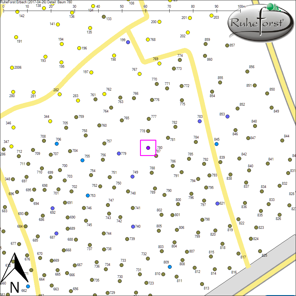 Detailkarte zu Baum 780