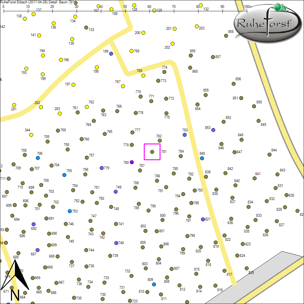 Detailkarte zu Baum 781