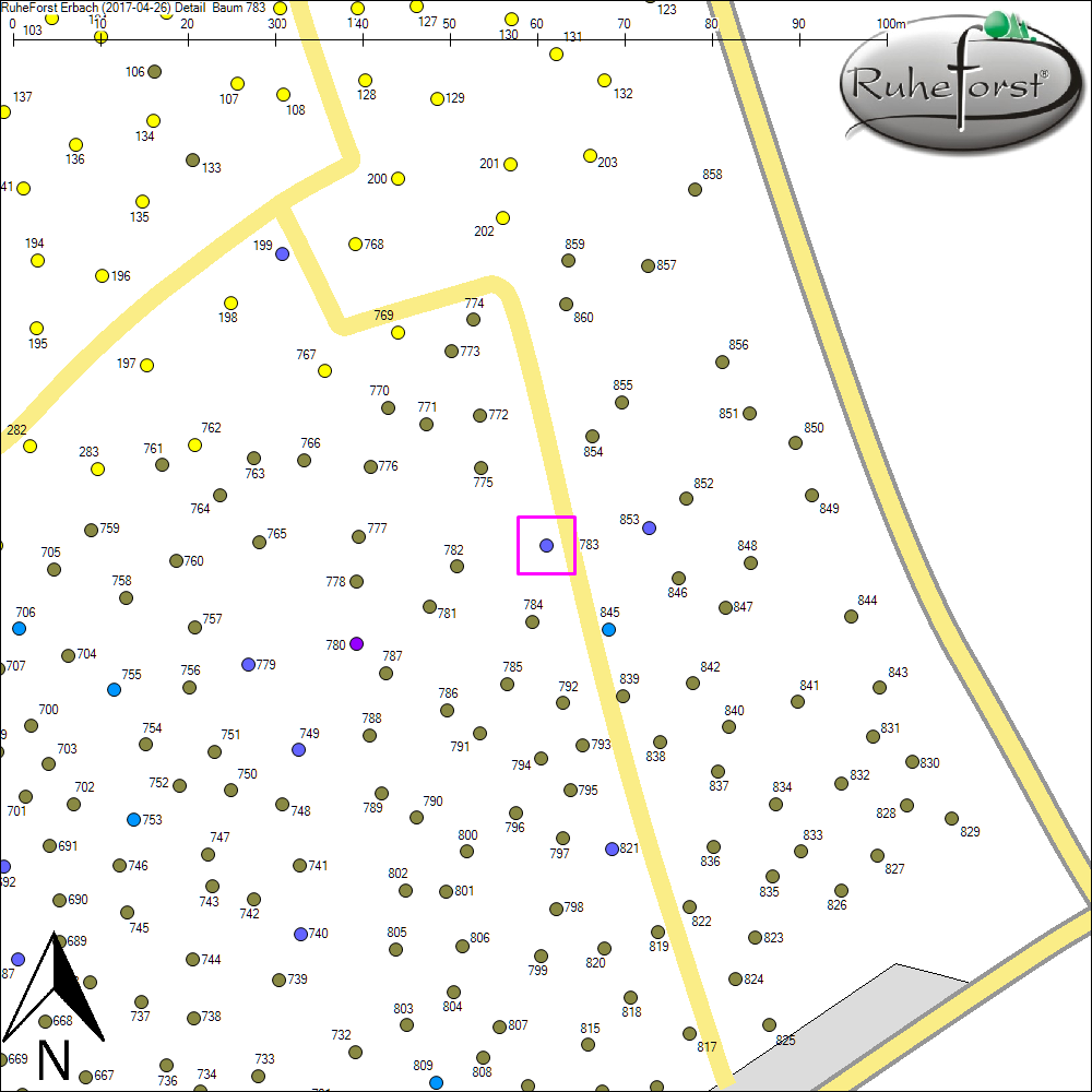 Detailkarte zu Baum 783