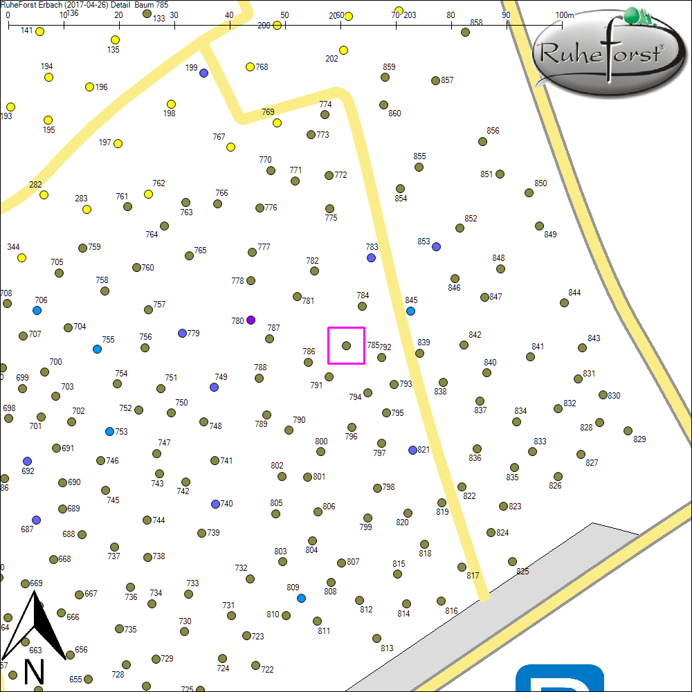 Detailkarte zu Baum 785