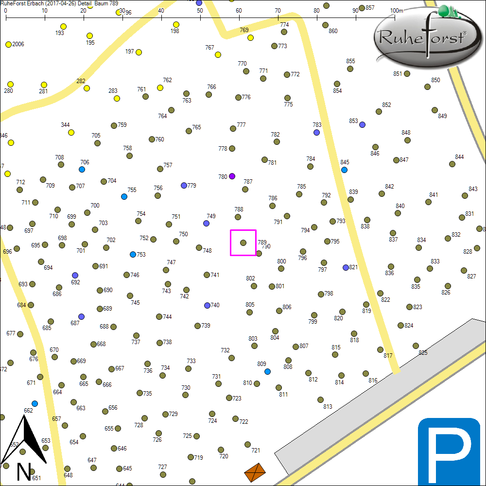 Detailkarte zu Baum 789