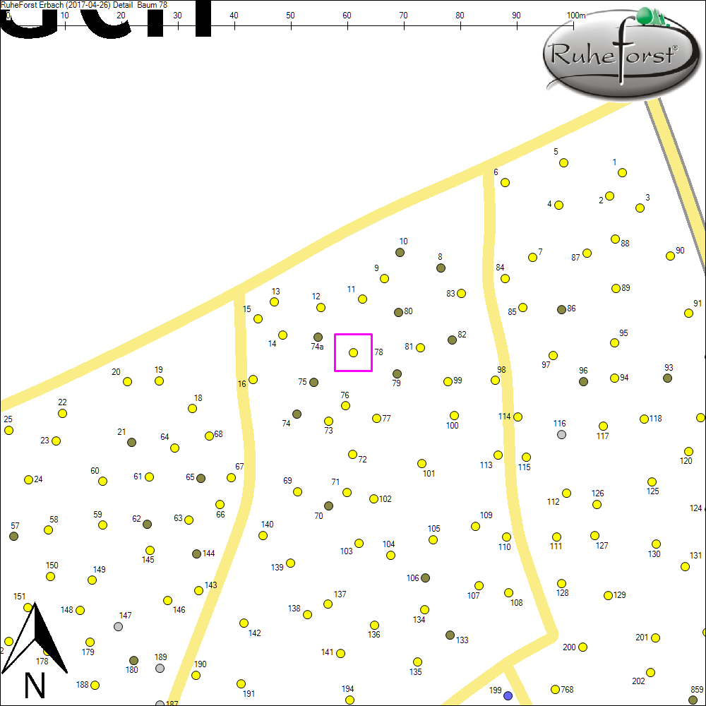 Detailkarte zu Baum 78