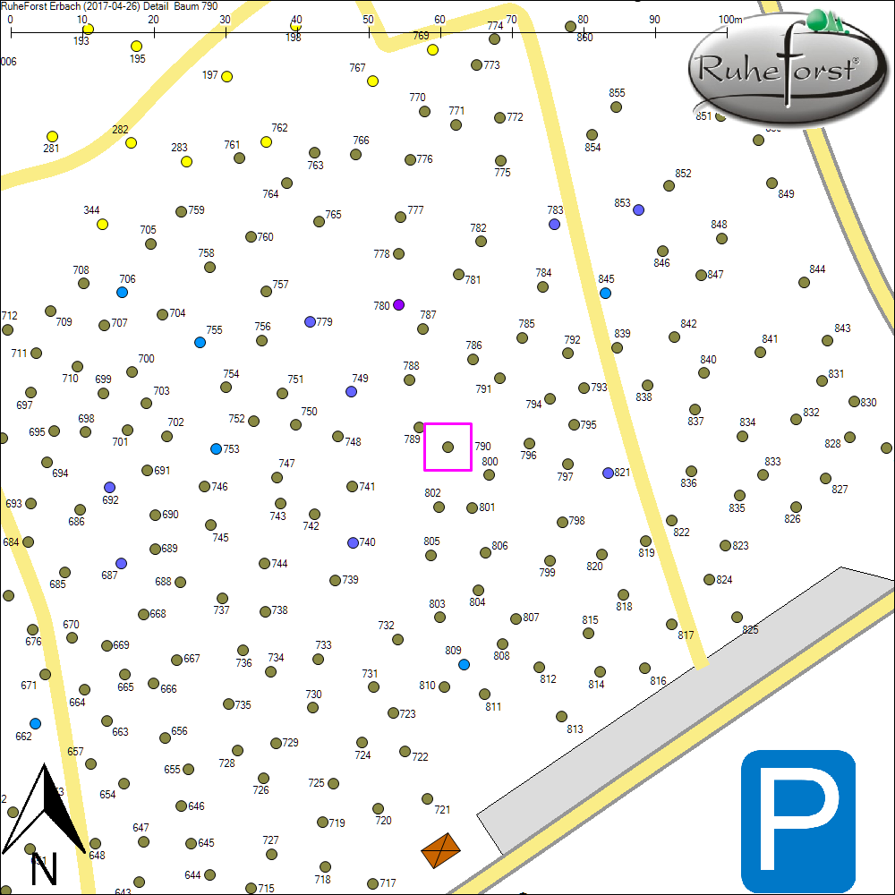 Detailkarte zu Baum 790