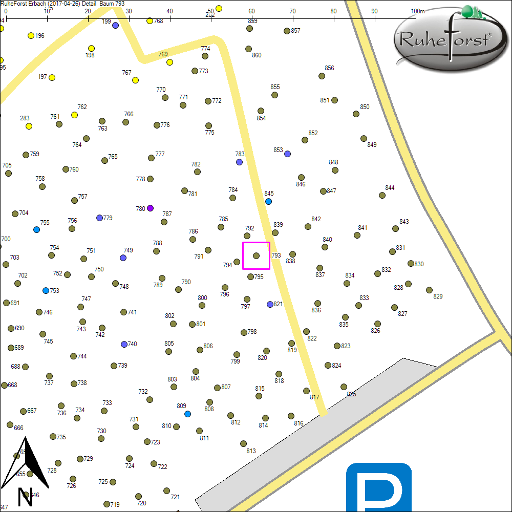 Detailkarte zu Baum 793