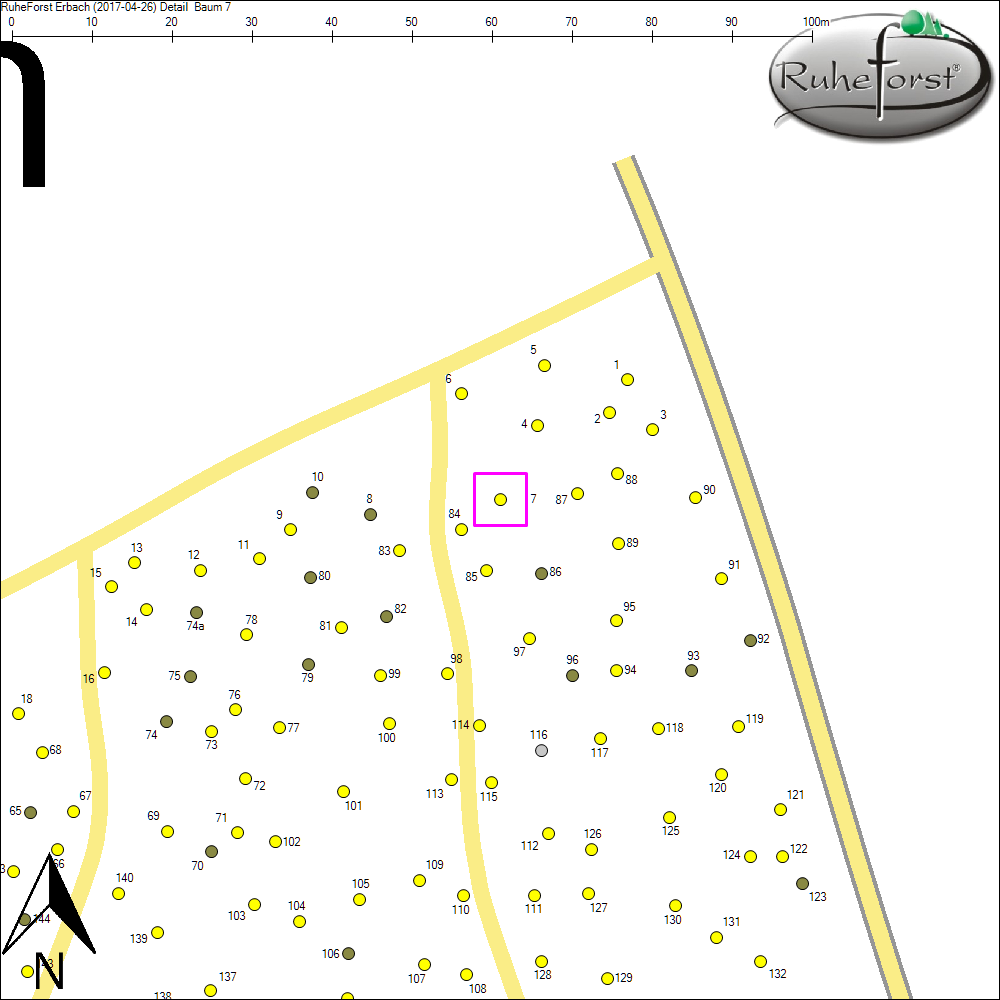 Detailkarte zu Baum 7