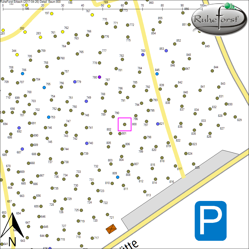 Detailkarte zu Baum 800