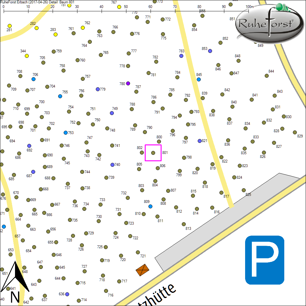 Detailkarte zu Baum 801
