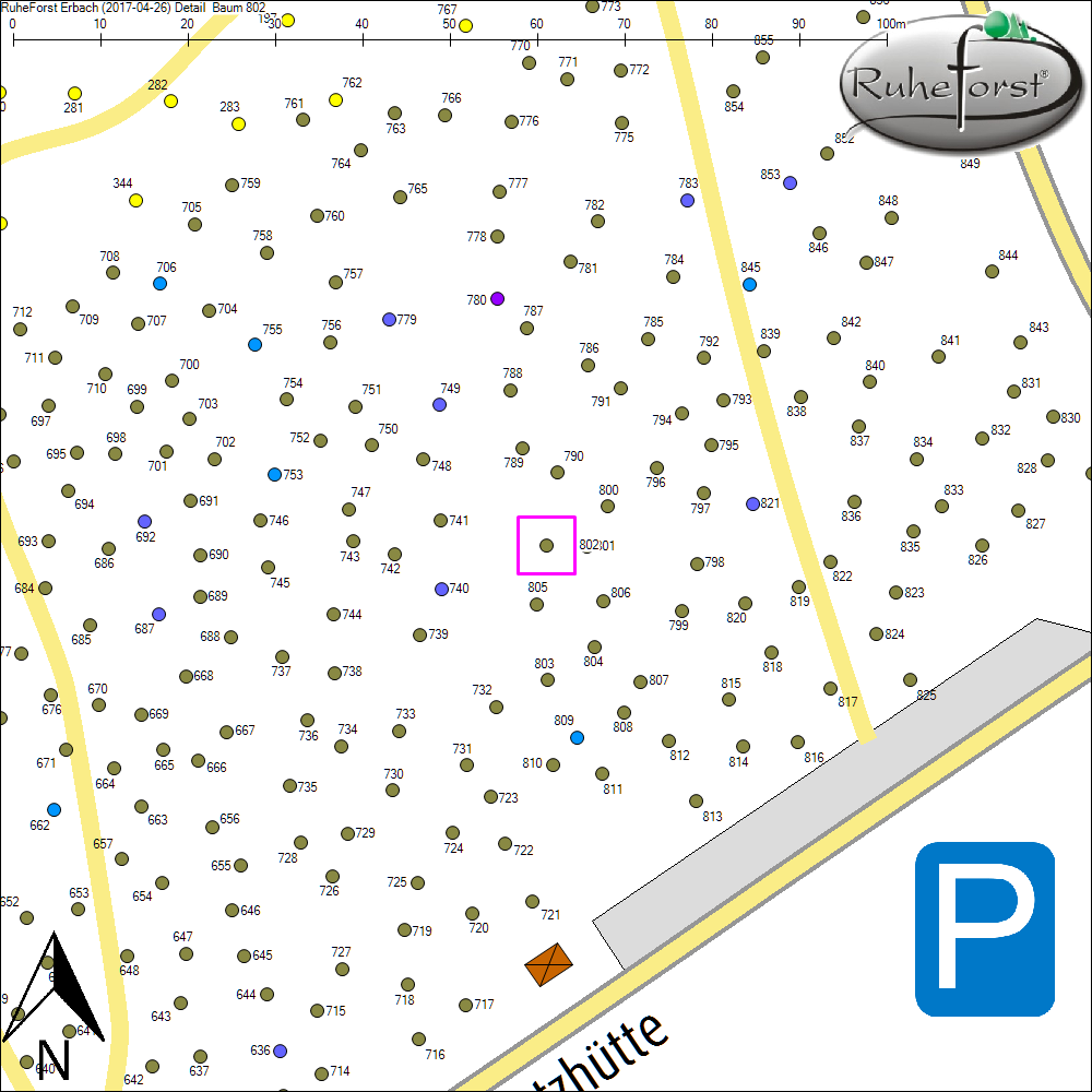 Detailkarte zu Baum 802