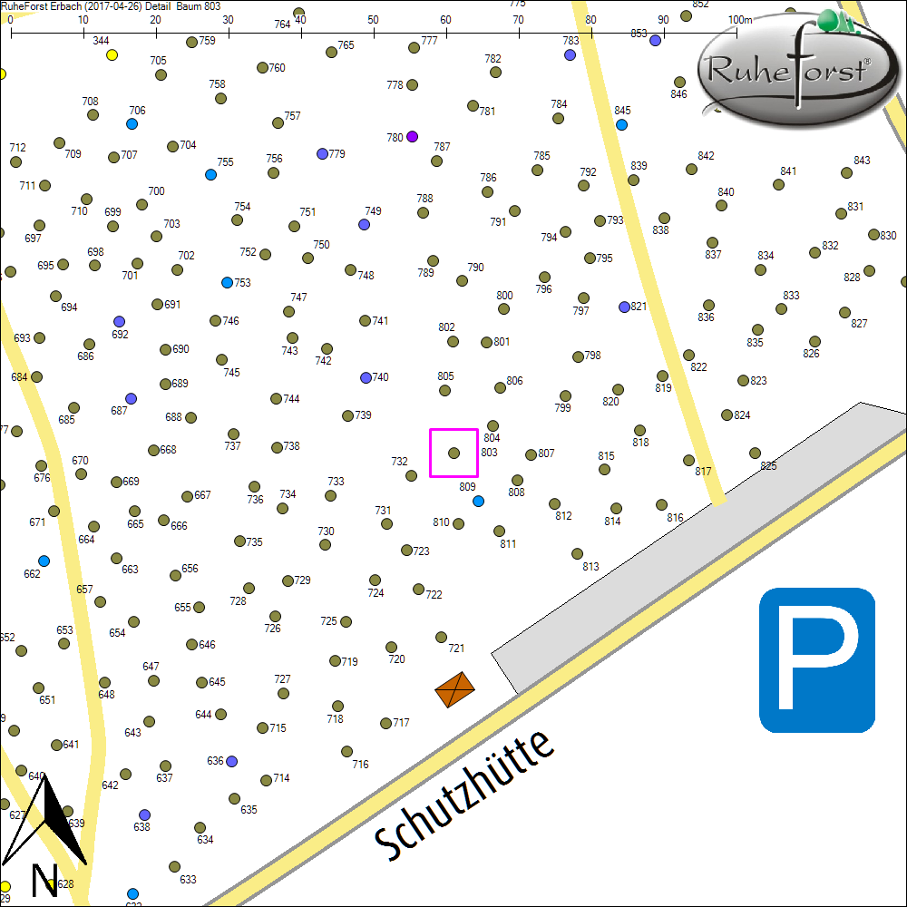 Detailkarte zu Baum 803