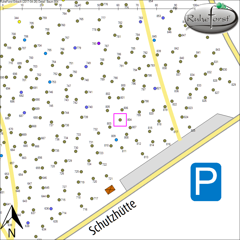 Detailkarte zu Baum 804