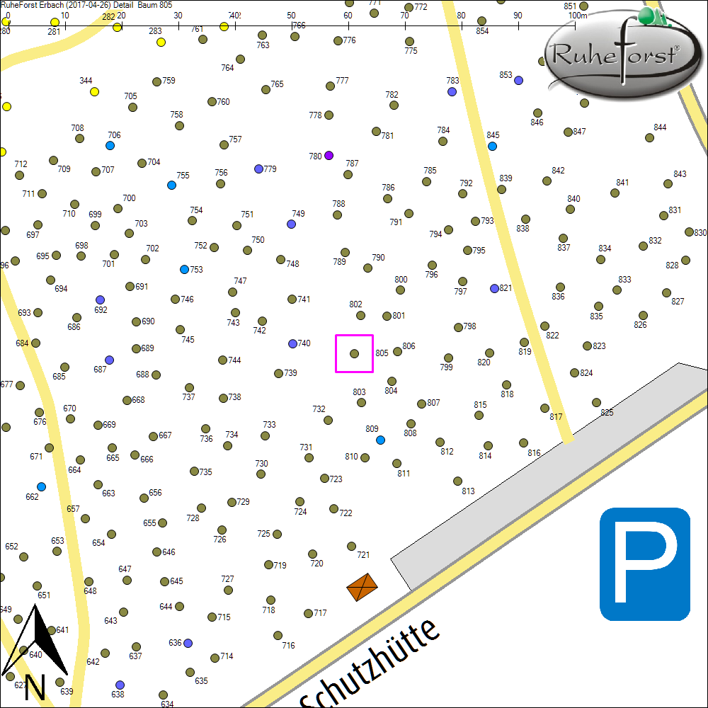 Detailkarte zu Baum 805
