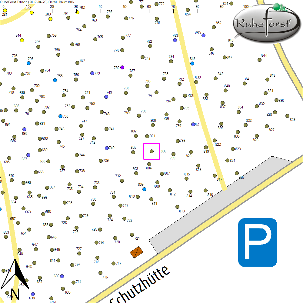 Detailkarte zu Baum 806
