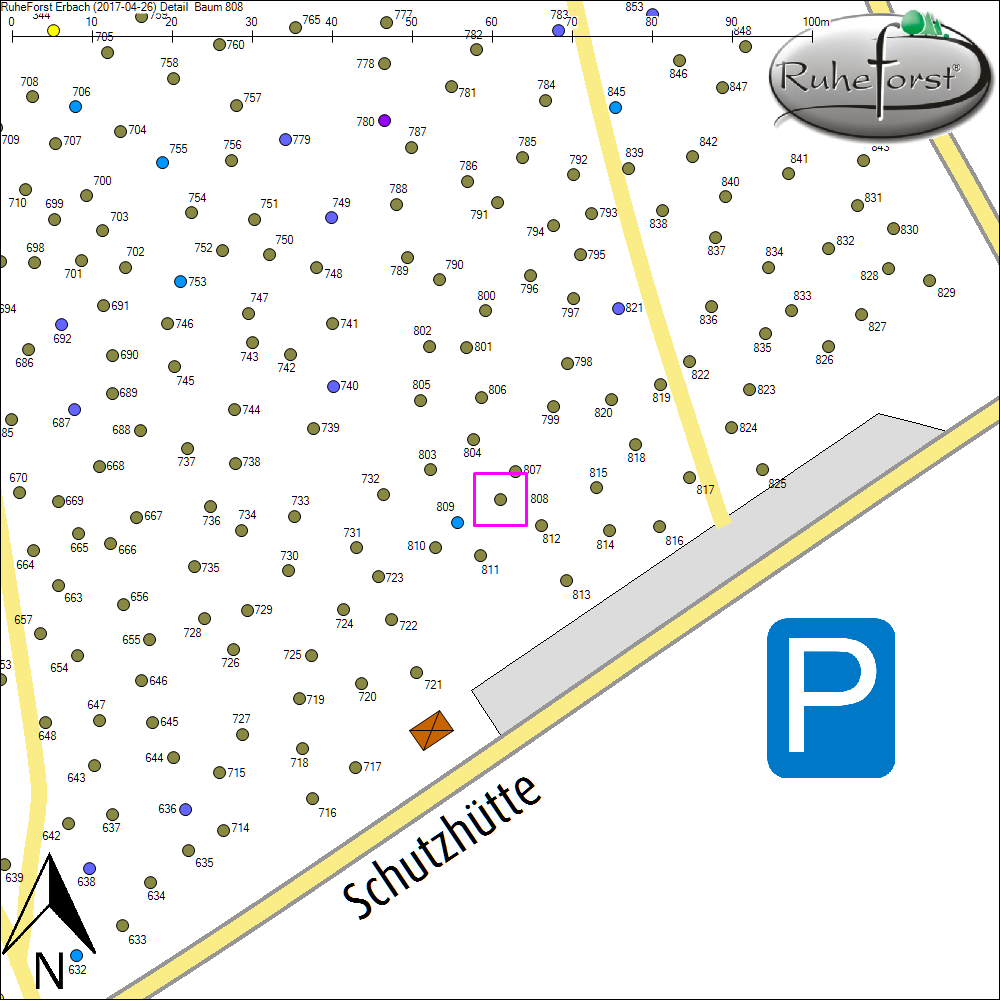 Detailkarte zu Baum 808