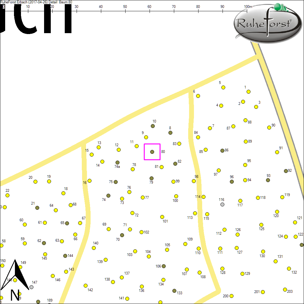 Detailkarte zu Baum 80