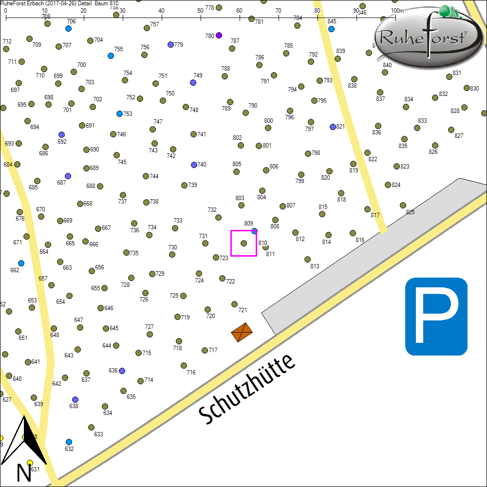 Detailkarte zu Baum 810