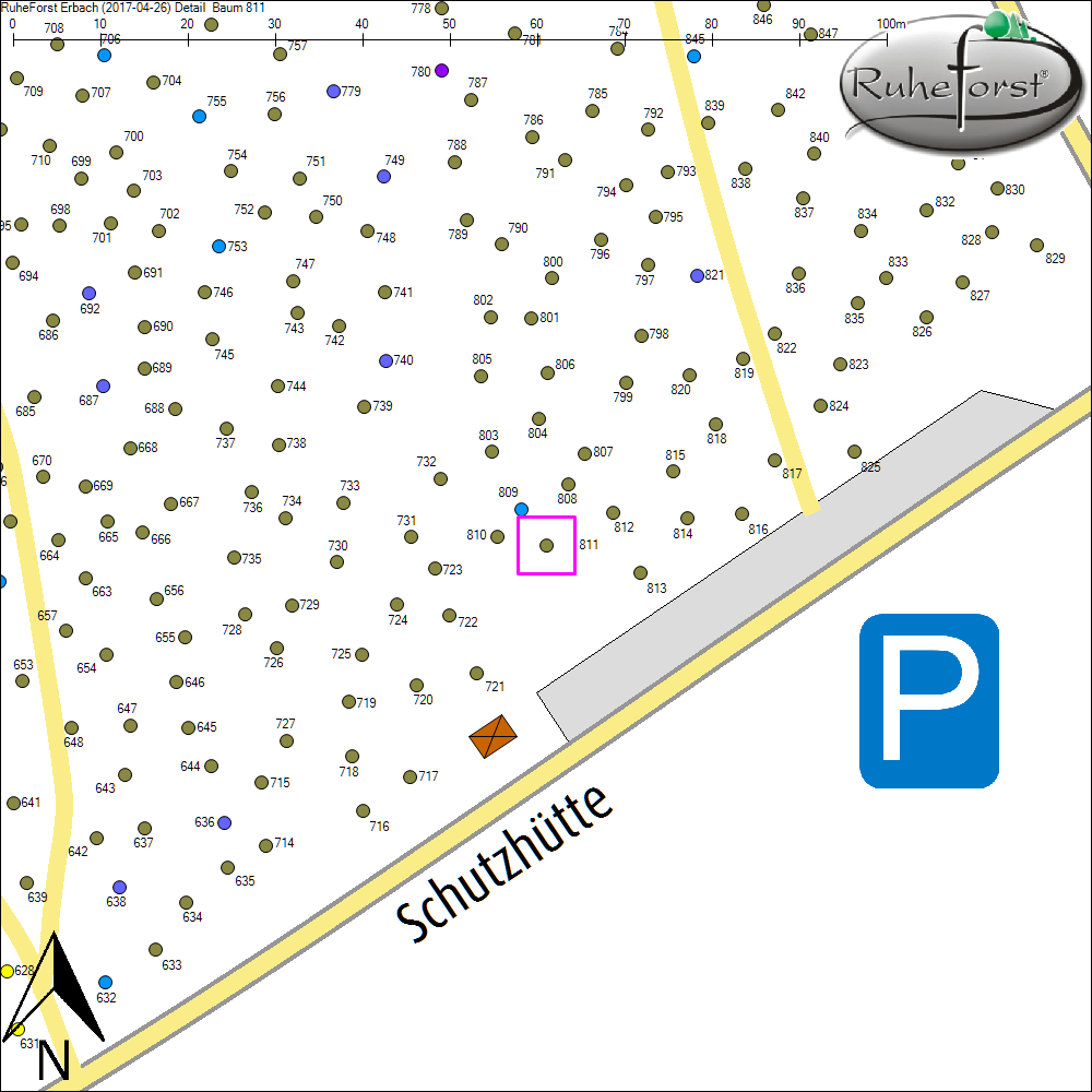 Detailkarte zu Baum 811