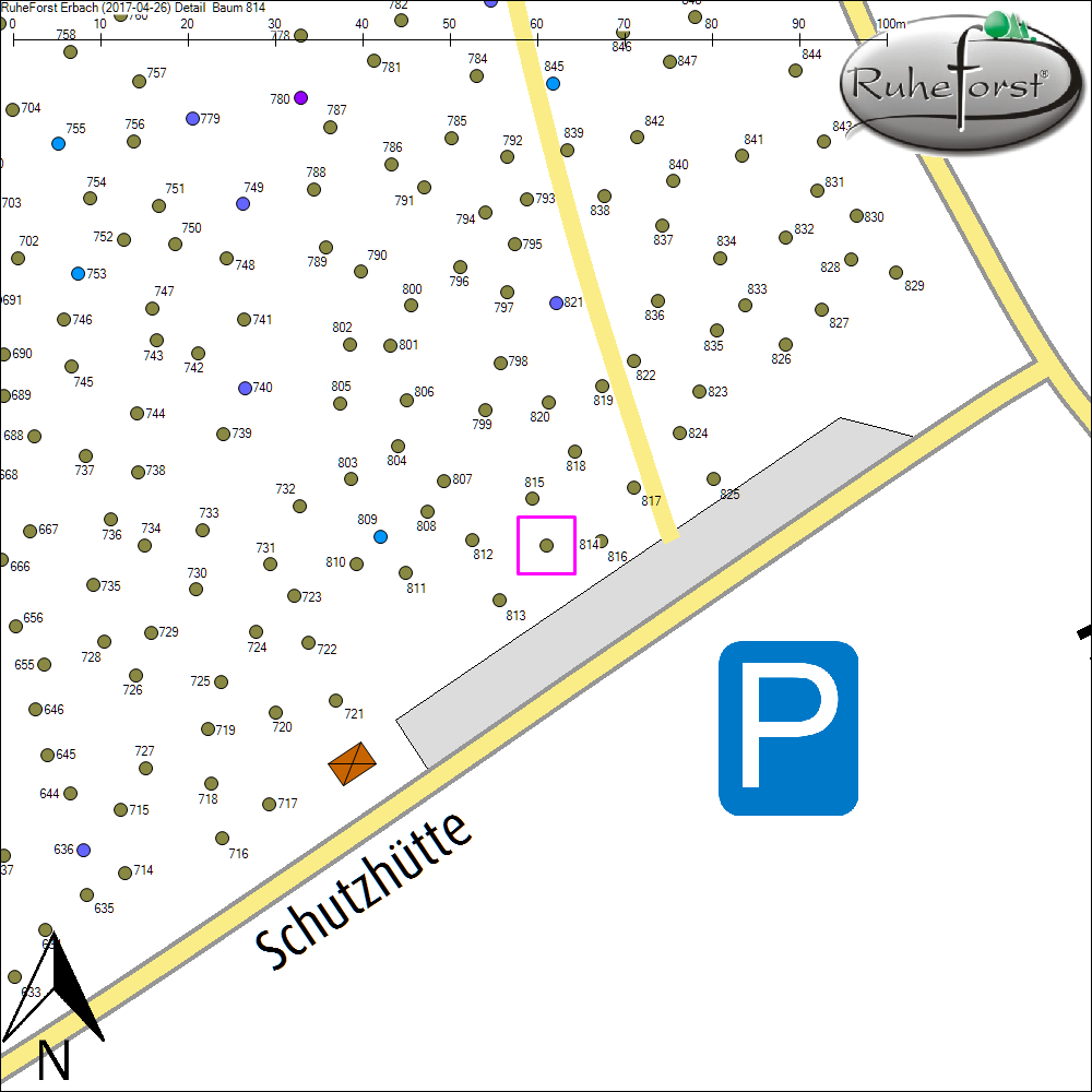 Detailkarte zu Baum 814