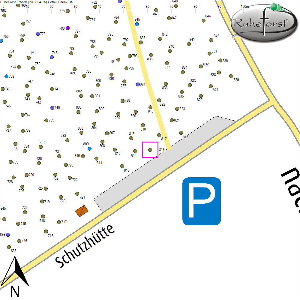 Detailkarte zu Baum 816