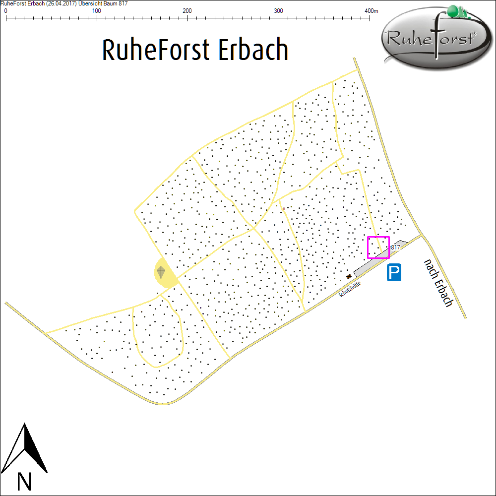 &Uuml;bersichtskarte zu Baum 817