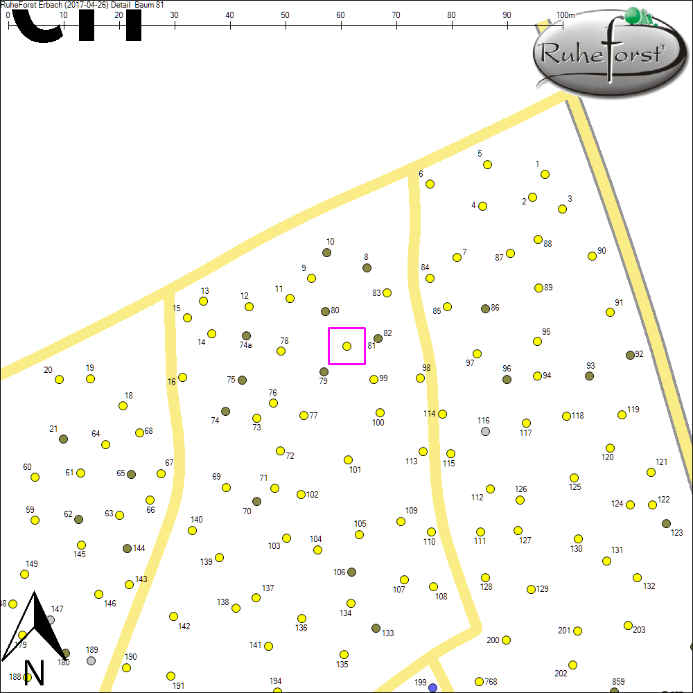 Detailkarte zu Baum 81