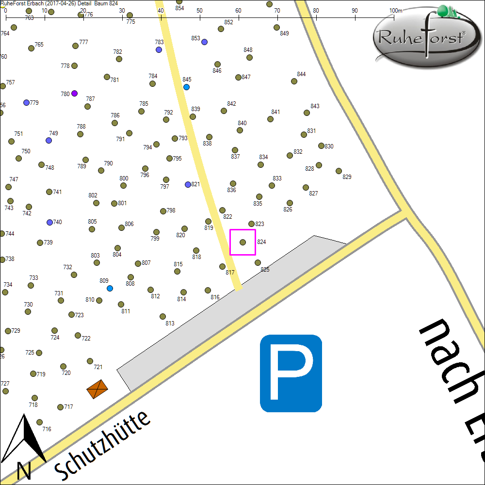 Detailkarte zu Baum 824