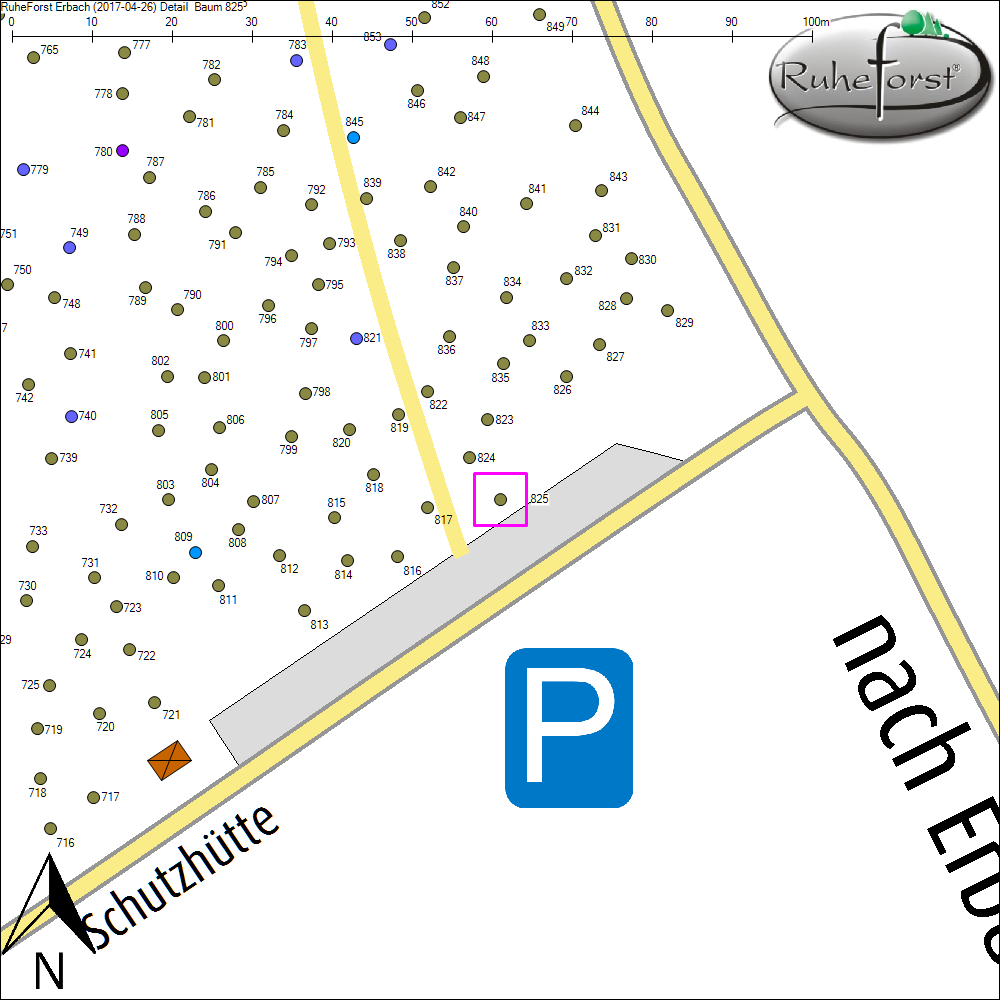 Detailkarte zu Baum 825