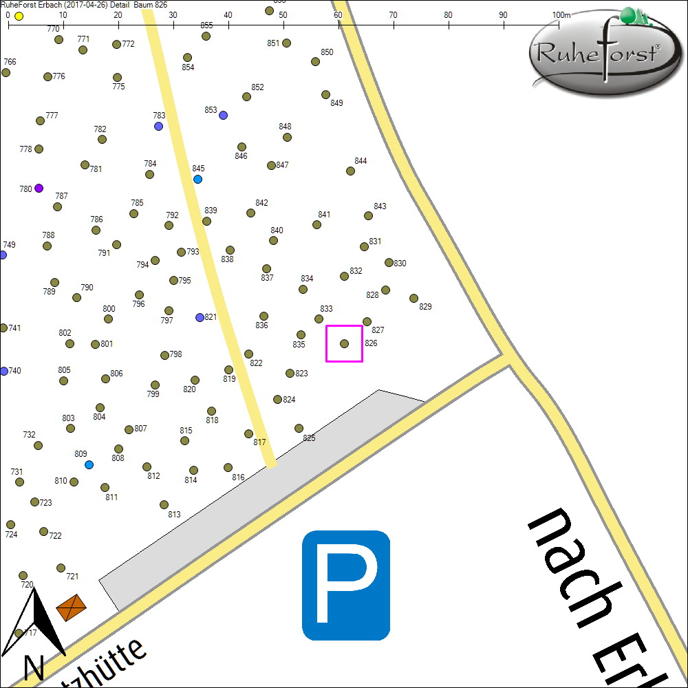 Detailkarte zu Baum 826