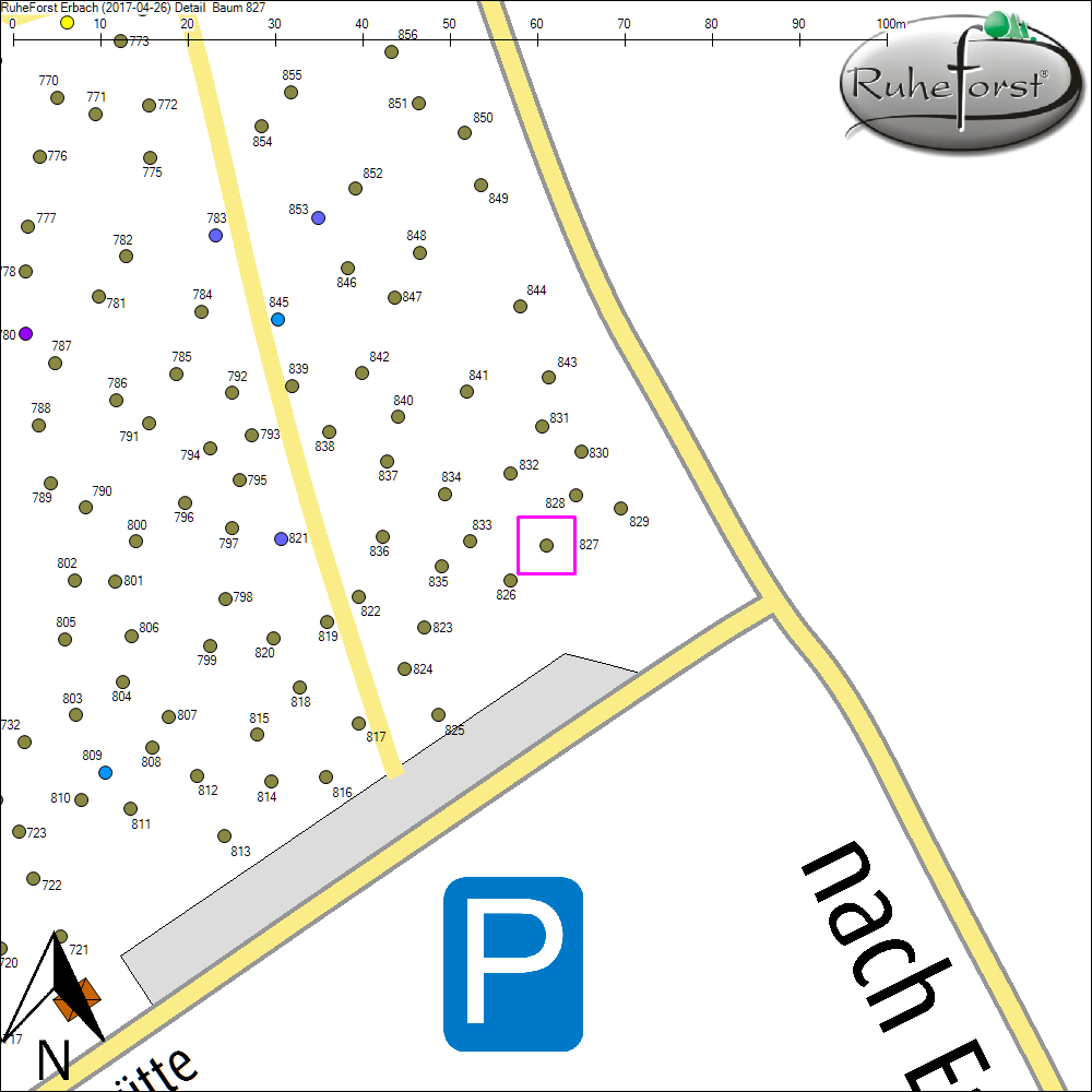 Detailkarte zu Baum 827