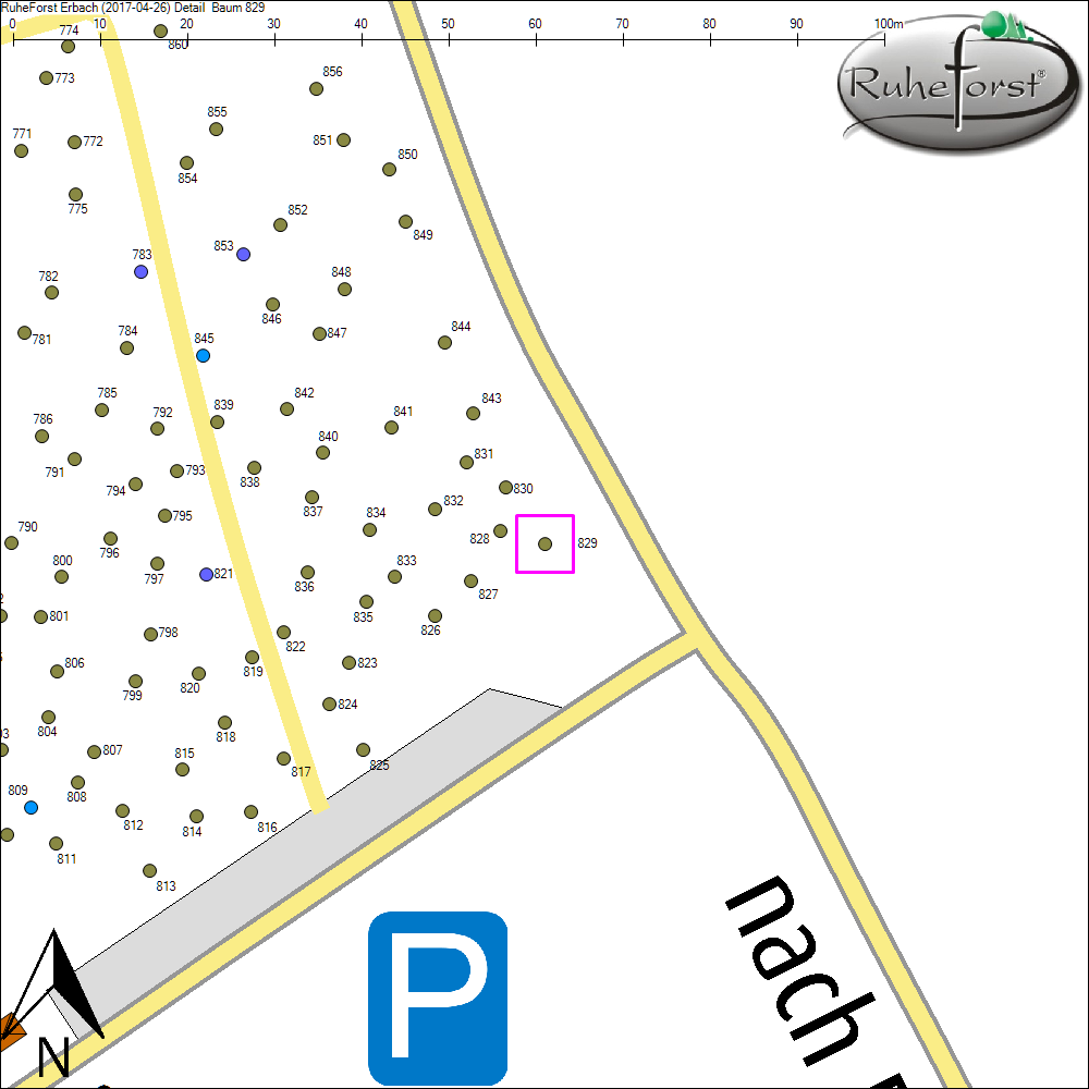 Detailkarte zu Baum 829